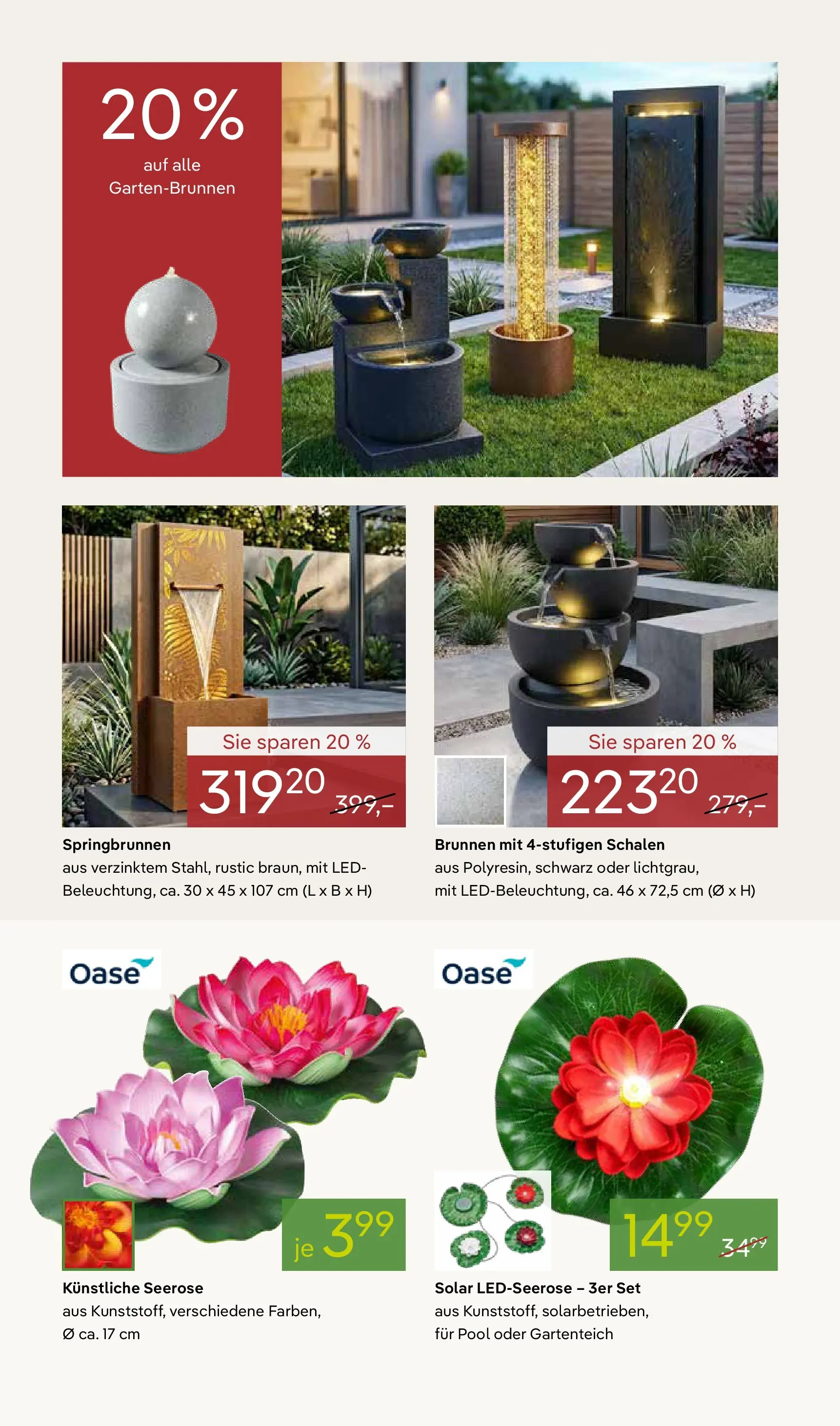 Pflanzen-Kölle - Pflanzen-Kölle: Frühling erleben (ab 06.04.2026) zum Blättern | Seite: 11