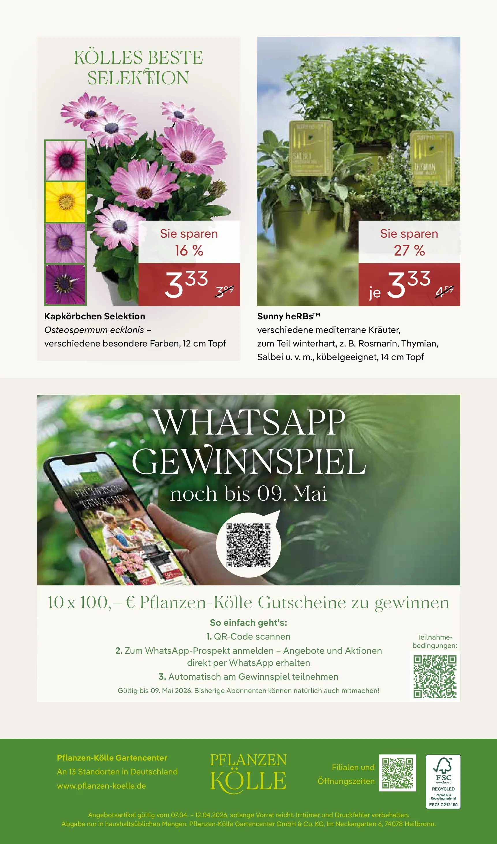 Pflanzen-Kölle - Pflanzen-Kölle: Frühling erleben (ab 06.04.2026) zum Blättern | Seite: 16