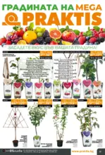 PRAKTIS Нови предложения от PRAKTIS с валидност до 26.04.2026 - до 26-04-26