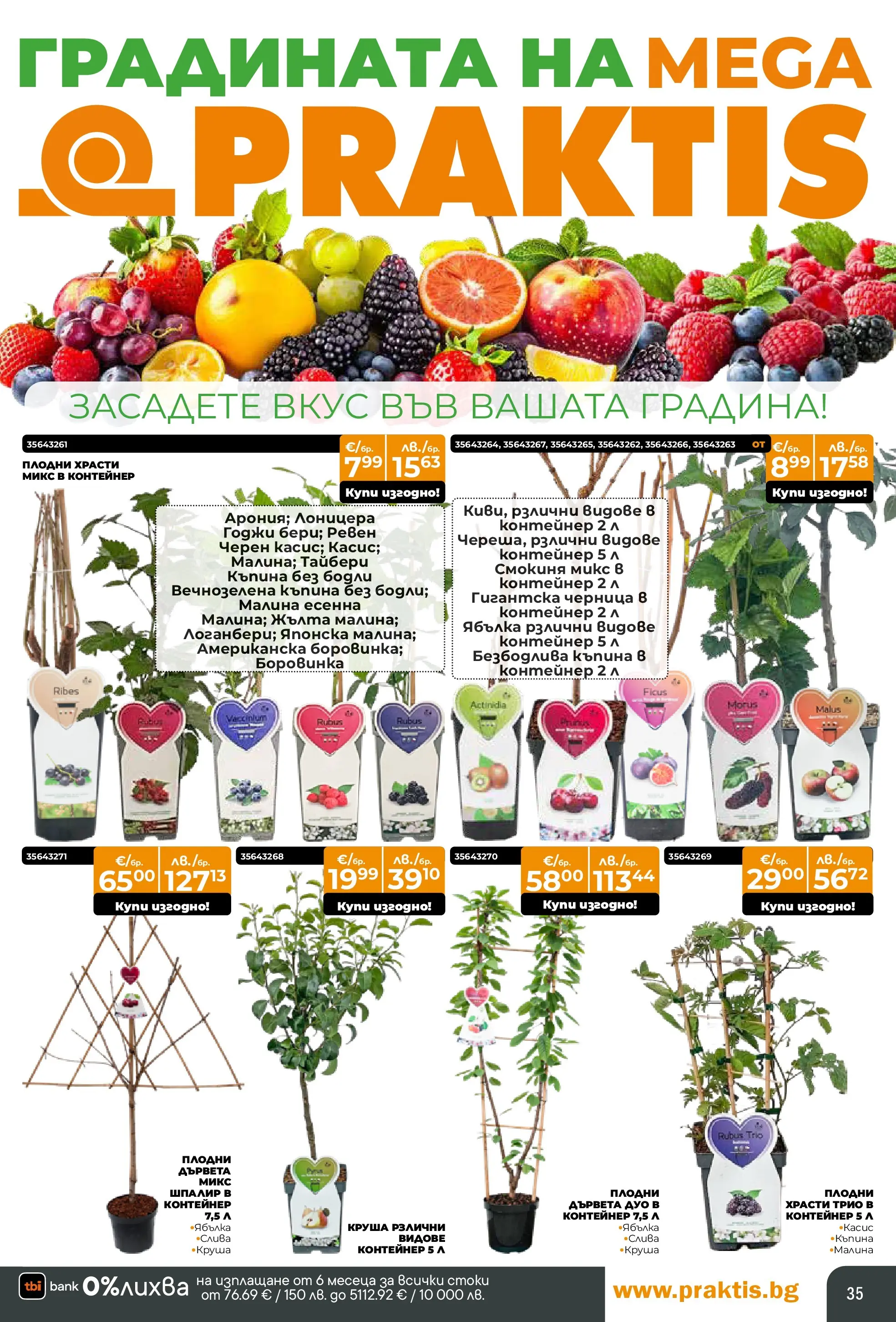 Praktis - Нови предложения от PRAKTIS с валидност до 26.04.2026 валидна от: 29.03.2026 - 26.04.2026 - онлайн брошура | Страница: 35 | Продукти: Круша, Малина, Контейнер