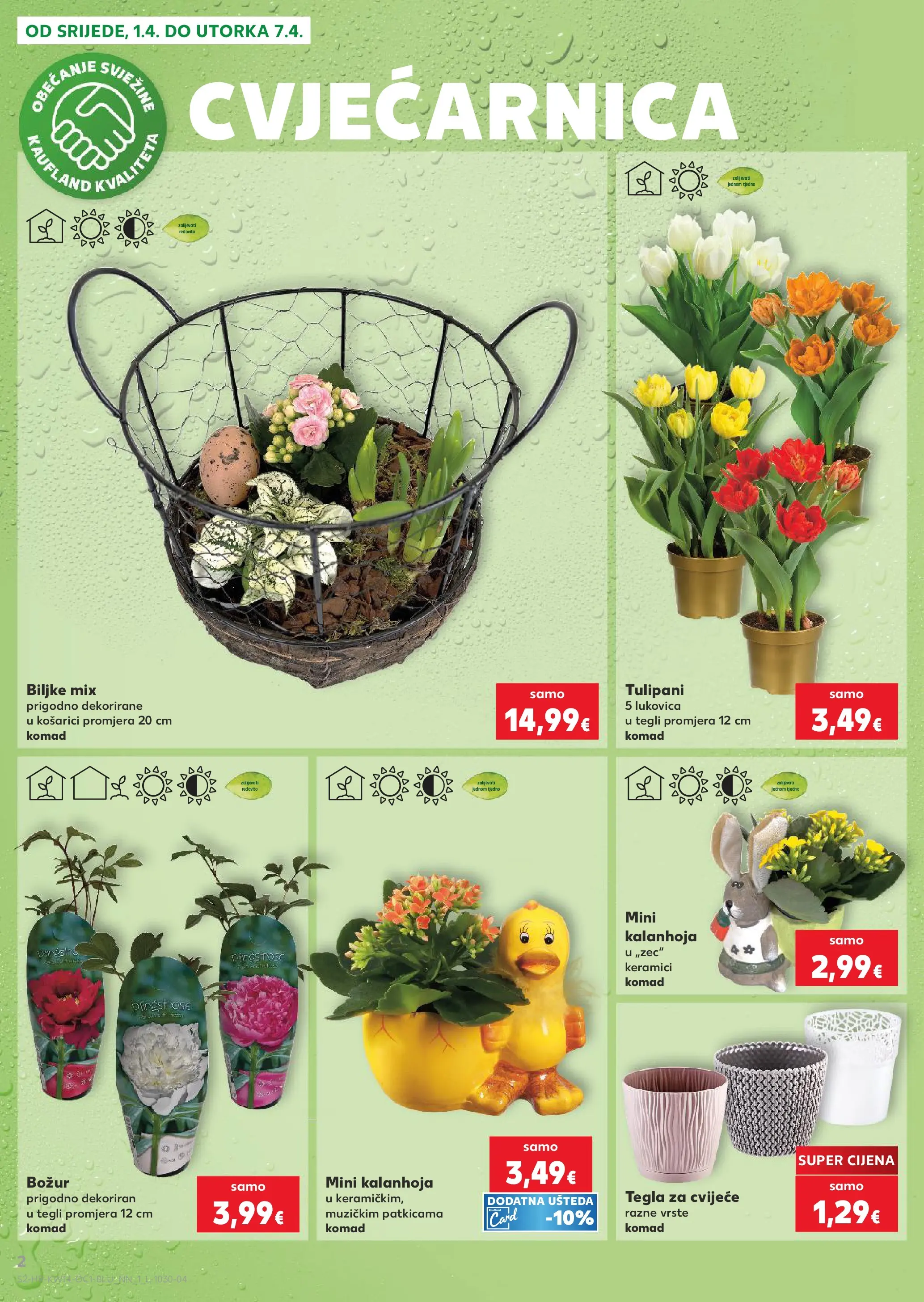Kaufland - Kaufland katalog do 07.04.2026 novi od 31.03.2026 na listanje > letak digitalni | Stranica: 2 | Proizvodi: Cvijeće