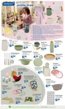 Rossmann: Wochenangebote