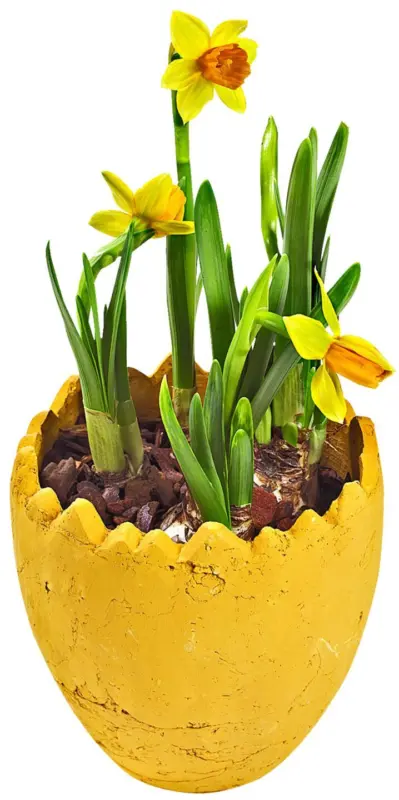 Нарцис керамика 9см