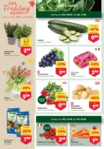 MPREIS MPREIS: Flugblatt Vorarlberg - ab 09.04.2026