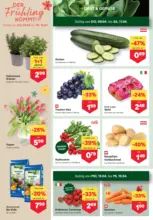 MPREIS: Flugblatt Tirol