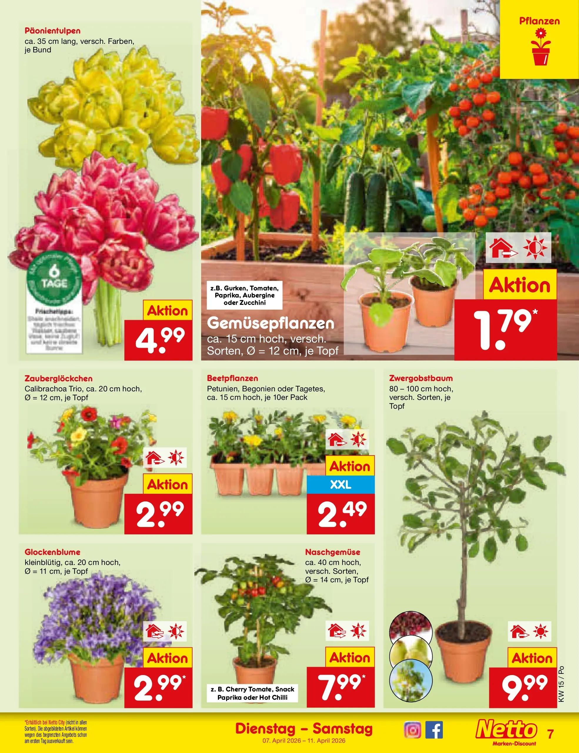 Netto Marken-Discount Prospekt Regensburg	 (ab 07.04.2026) » Angebote | Seite: 9 | Produkte: Paprika, Aubergine, Zucchini