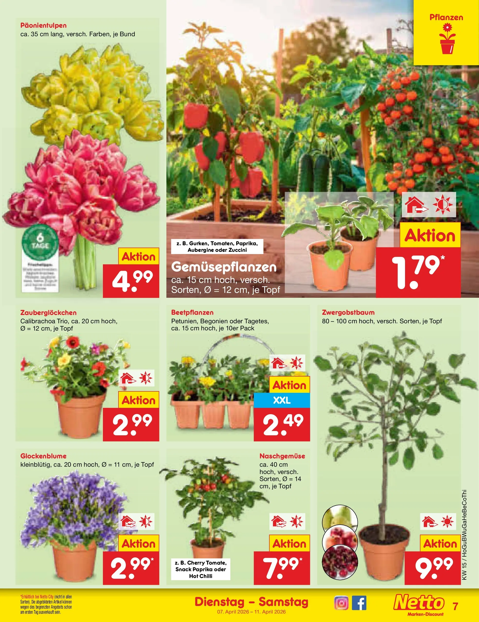 Netto Marken-Discount Prospekt Hamburg	 (ab 07.04.2026) » Angebote | Seite: 9 | Produkte: Paprika, Aubergine