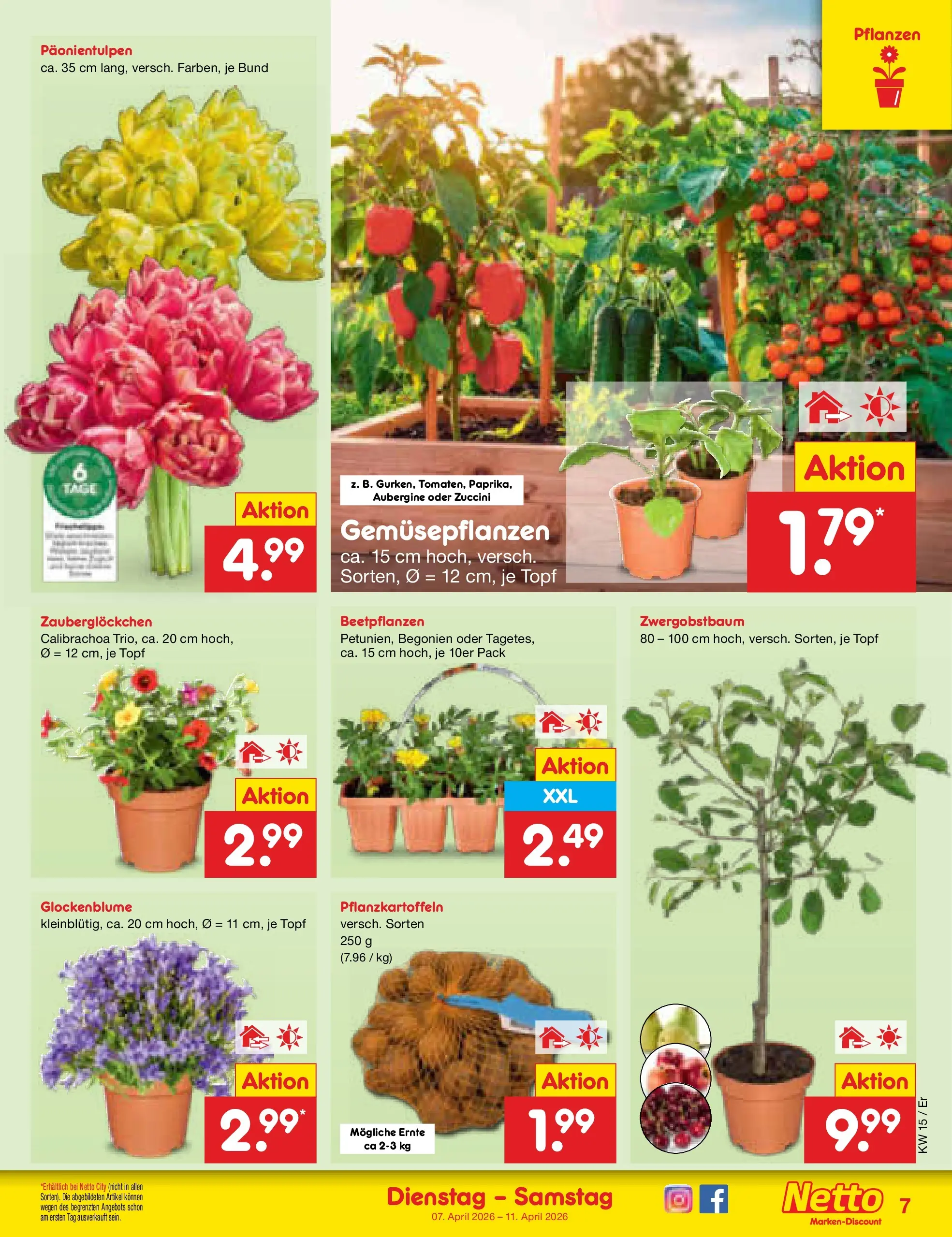 Netto Marken-Discount Prospekt Jena-Lobeda	 (ab 07.04.2026) » Angebote | Seite: 9 | Produkte: Aubergine