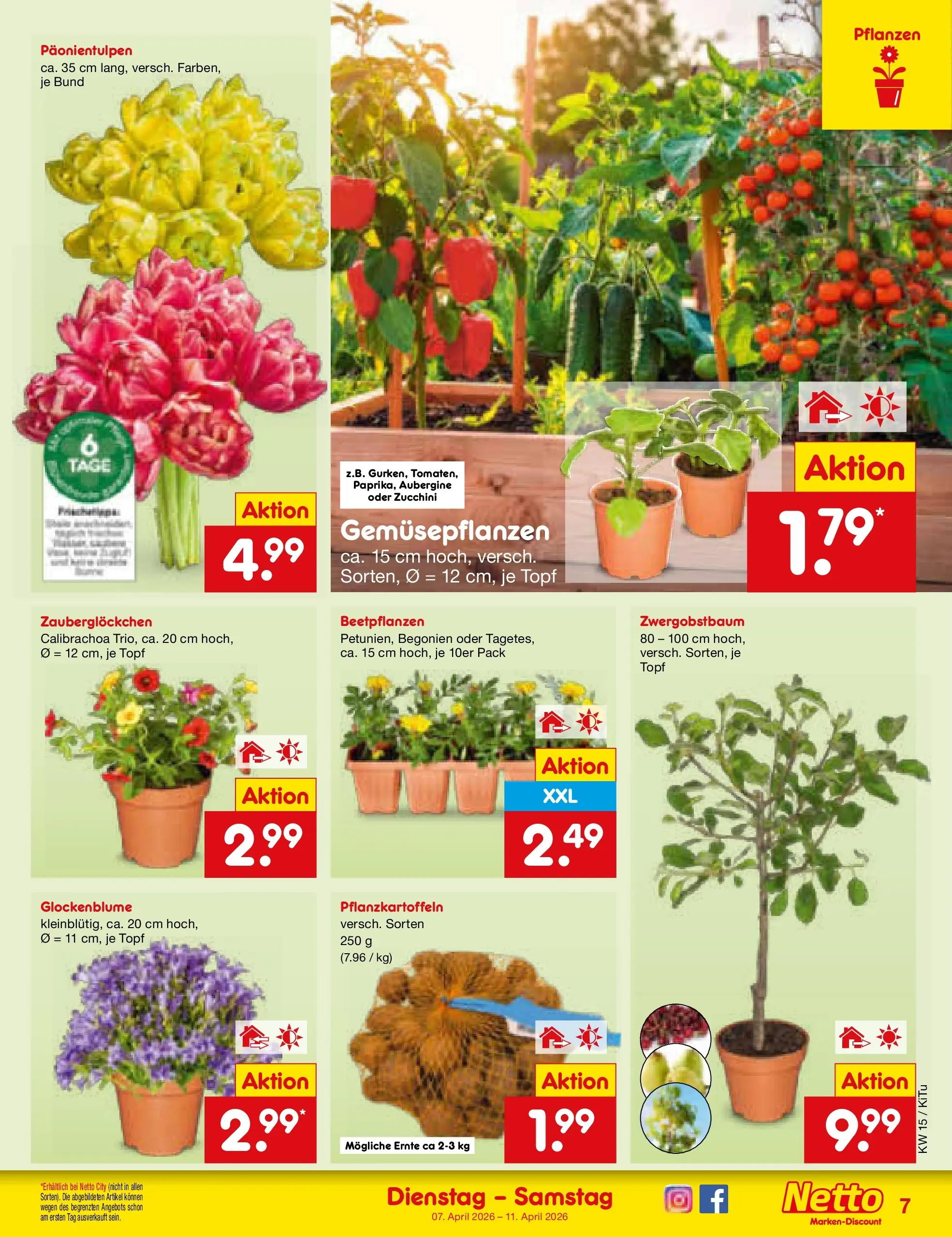 Netto Marken-Discount Prospekt Bad Friedrichshall	 (ab 07.04.2026) » Angebote | Seite: 9 | Produkte: Aubergine, Zucchini