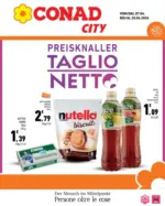 D.A.O. soc. coop. Taglio Netto - al 20.04.2026