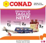 D.A.O. soc. coop. Taglio Netto - al 20.04.2026