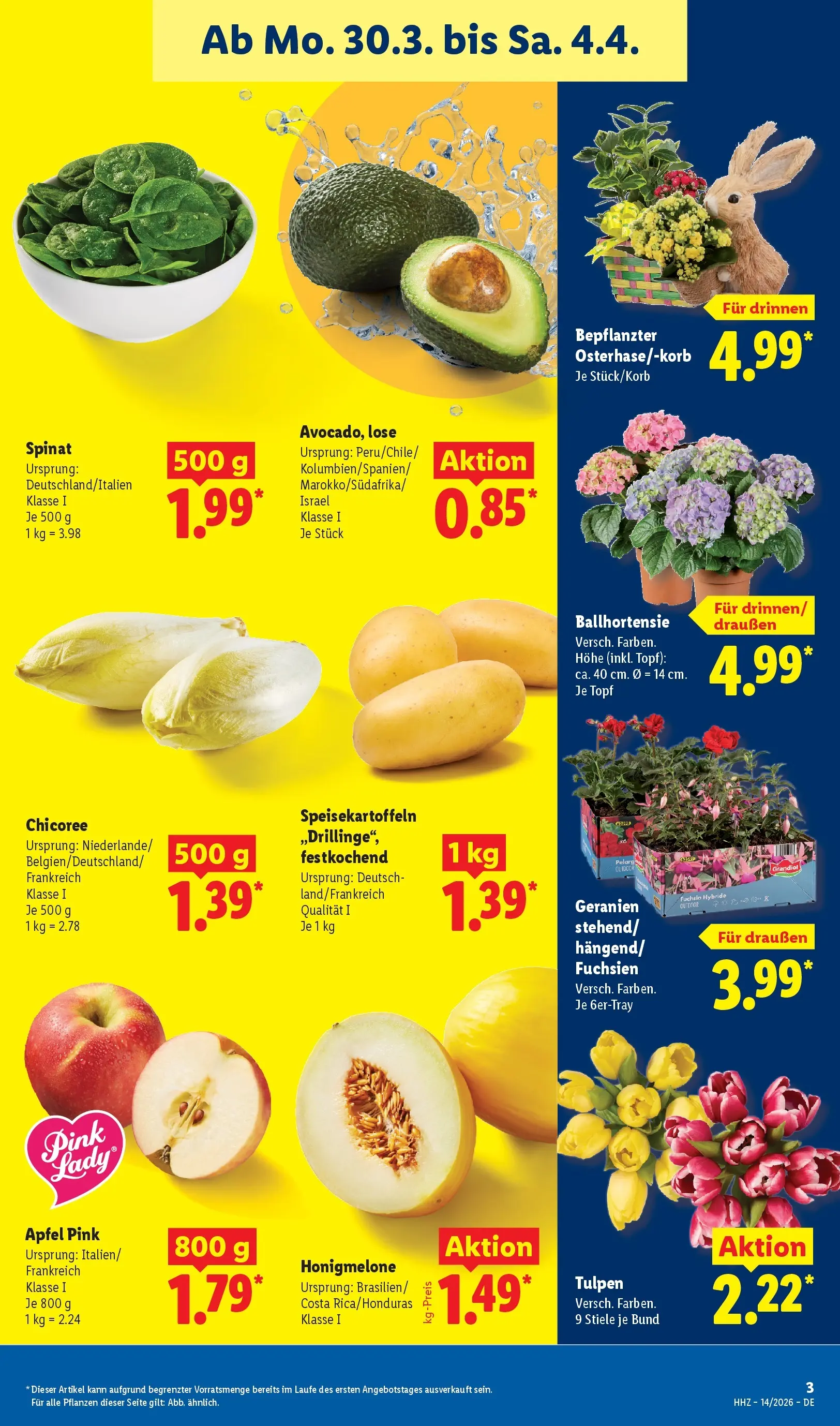 Lidl Prospekt Senftenberg (ab 29.03.2026) zum Blättern » Angebote | Seite: 9
