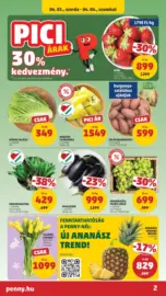 Penny &uacute;js&aacute;g &eacute;rv&eacute;nyess&eacute;ge 2026.04.08-ig