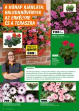 MEG&Uacute;JUL A KERT