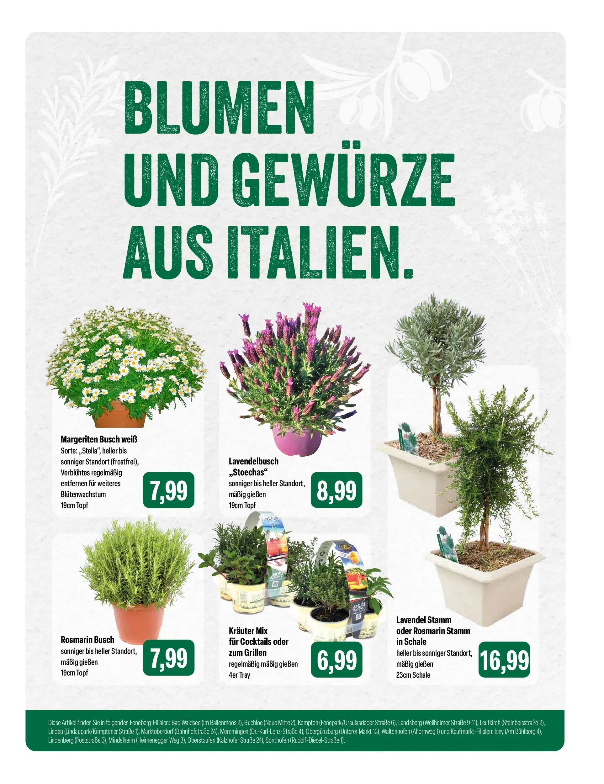 Feneberg Aktuelle Angebote (ab 08.04.2026) zum Blättern | Seite: 9 | Produkte: Bad, Blumen, Gewürze, Lavendel