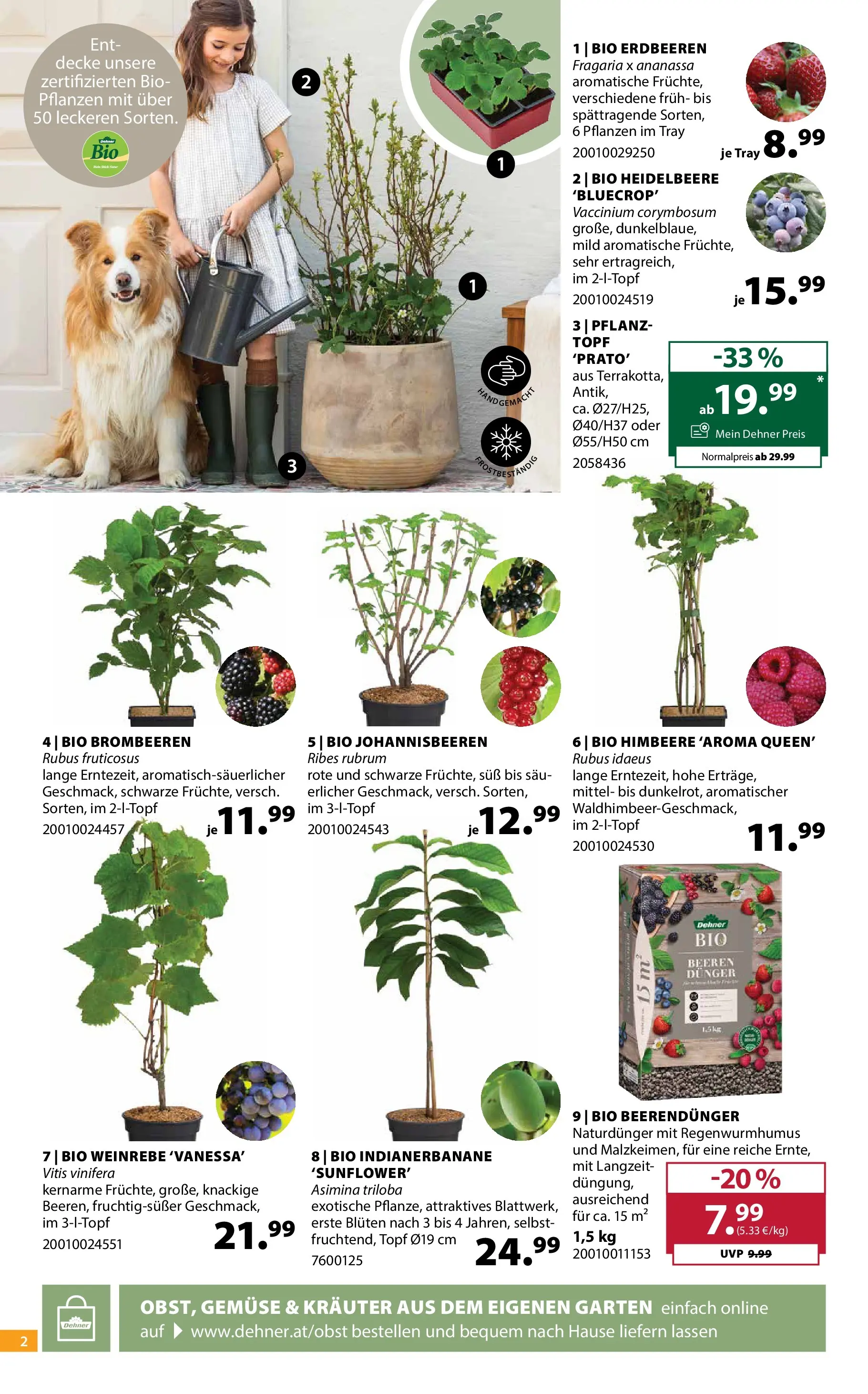 Dehner - Dehner: Garten & Zoo von 07.04.2026 - Aktuelle Angebote | Seite: 2 | Produkte: Erdbeeren, Gemüse, Himbeere, Decke