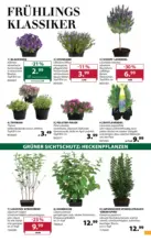Dehner Hohenems Dehner: Garten & Zoo - bis 13.04.2026
