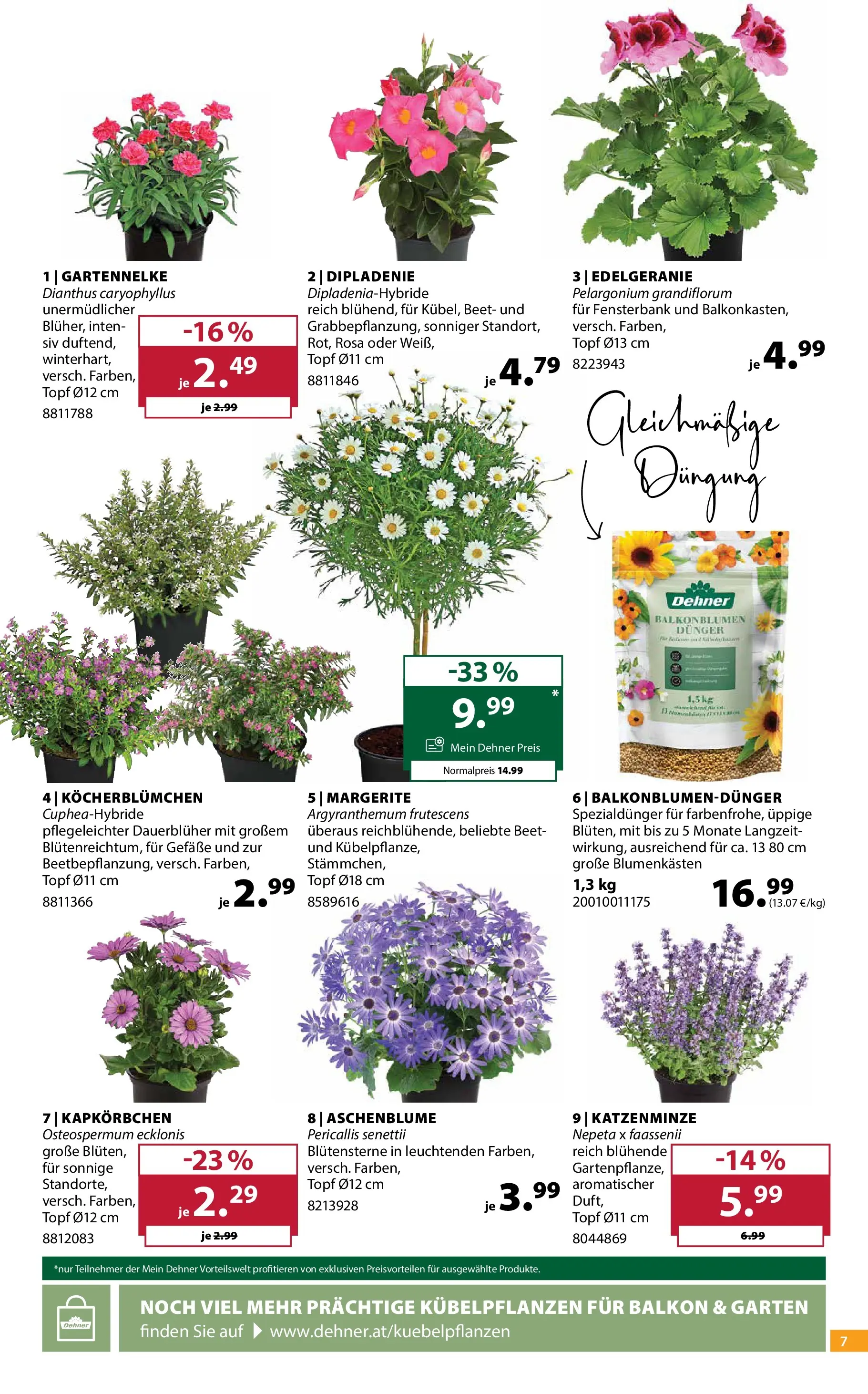 Dehner - Dehner: Garten & Zoo von 07.04.2026 - Aktuelle Angebote | Seite: 7