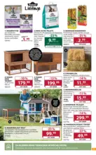 Dehner Hohenems Dehner: Garten & Zoo - bis 13.04.2026