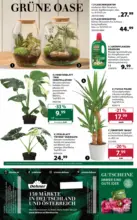 Dehner Hohenems Dehner: Garten & Zoo - bis 13.04.2026