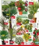 BAUHAUS Bregenz BAUHAUS: Flugblatt - bis 21.04.2026