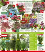 BAUHAUS Bregenz BAUHAUS: Flugblatt - bis 21.04.2026