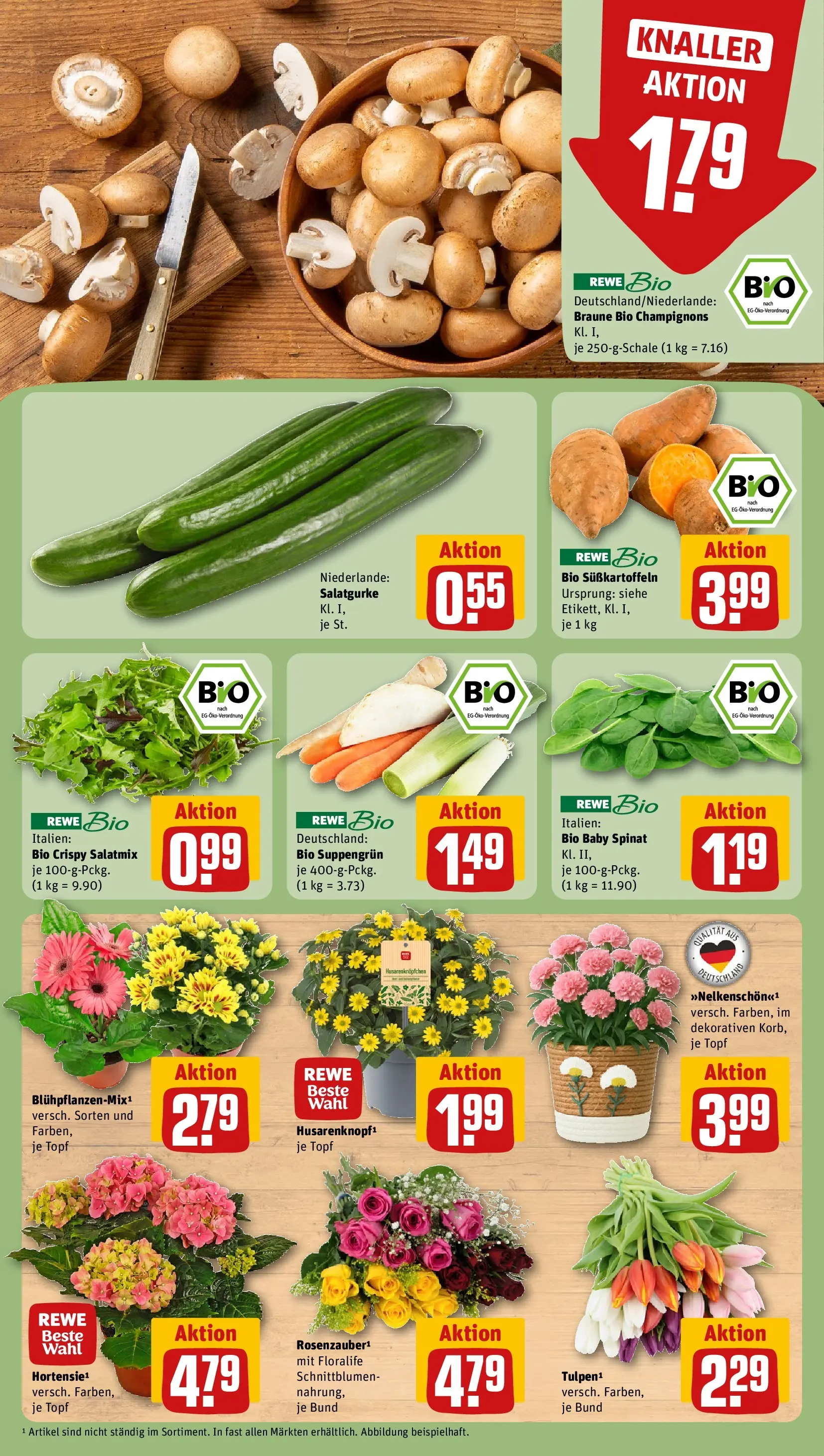 REWE Prospekt ab 05.04.2026 zum Blättern » Angebote | Seite: 7 | Produkte: Champignons