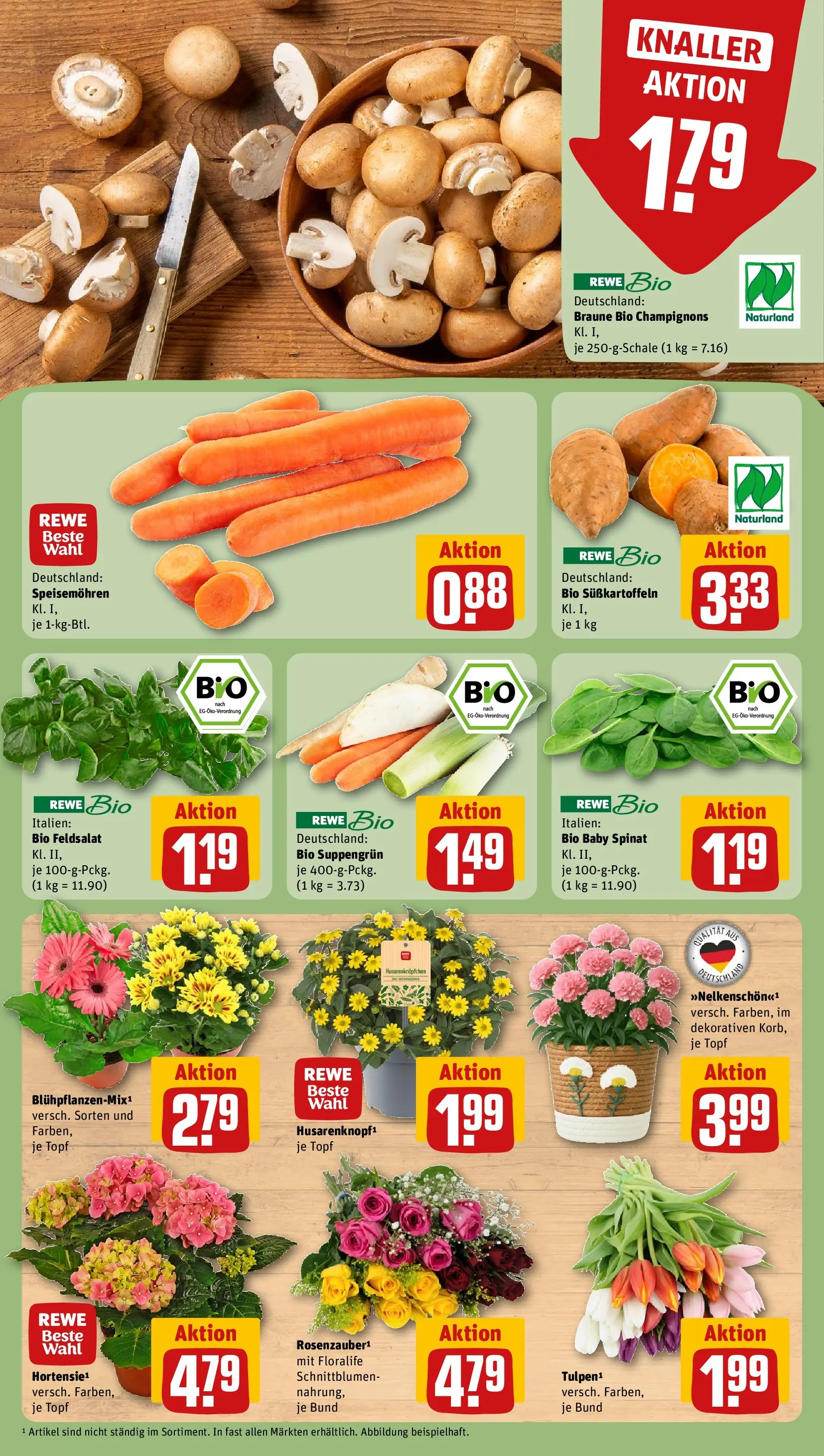 REWE Prospekt ab 05.04.2026 zum Blättern » Angebote | Seite: 7 | Produkte: Champignons