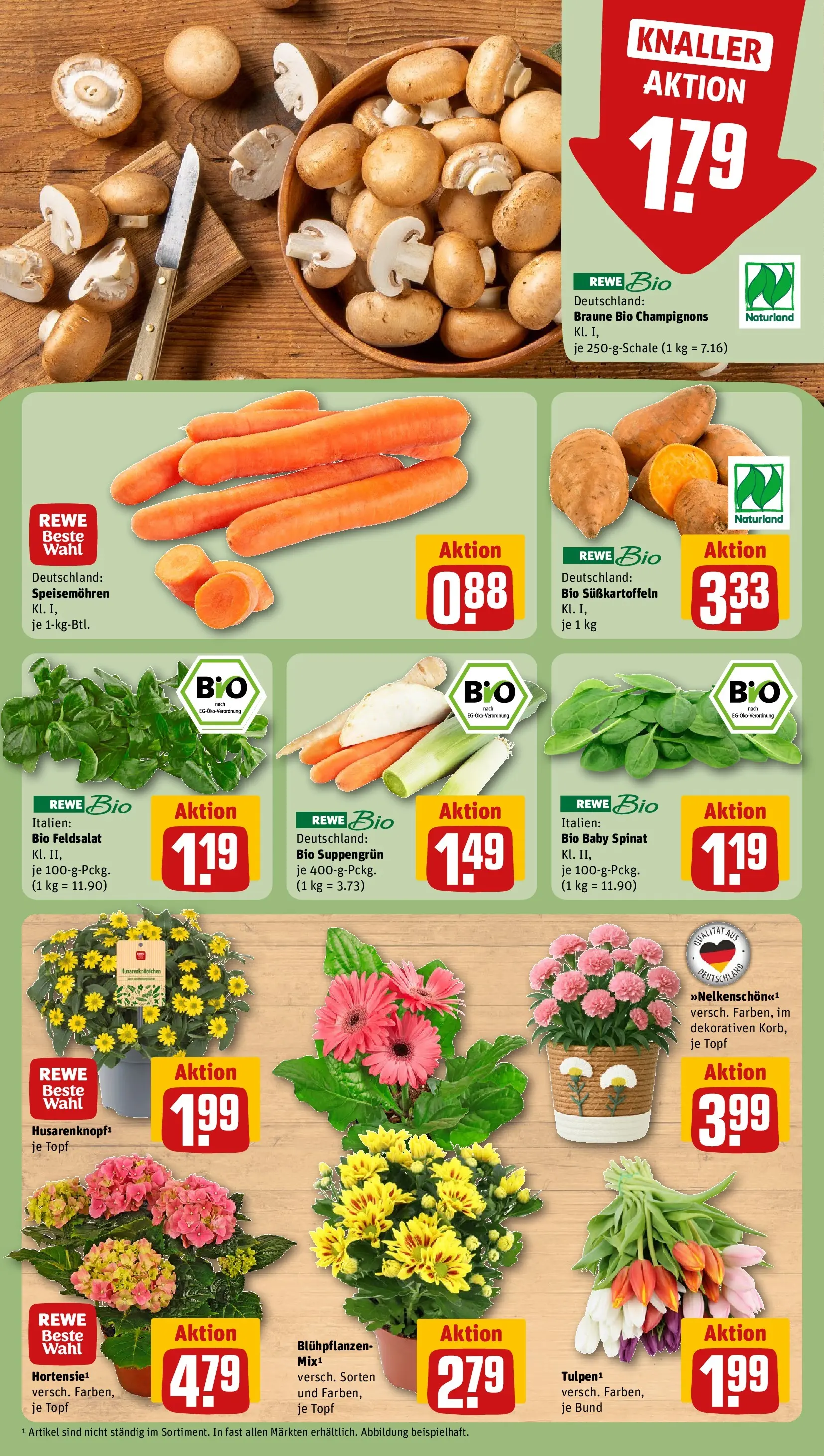 REWE Prospekt ab 05.04.2026 zum Blättern » Angebote | Seite: 7 | Produkte: Champignons