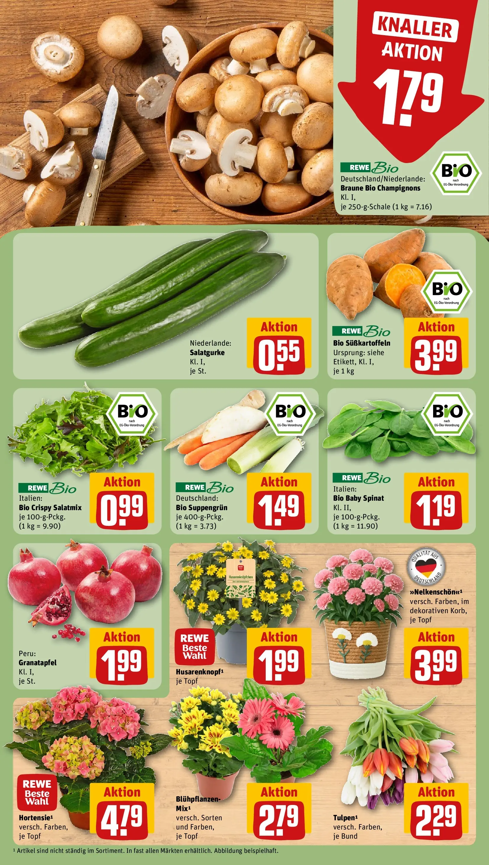 REWE Prospekt ab 05.04.2026 zum Blättern » Angebote | Seite: 7 | Produkte: Granatapfel, Champignons