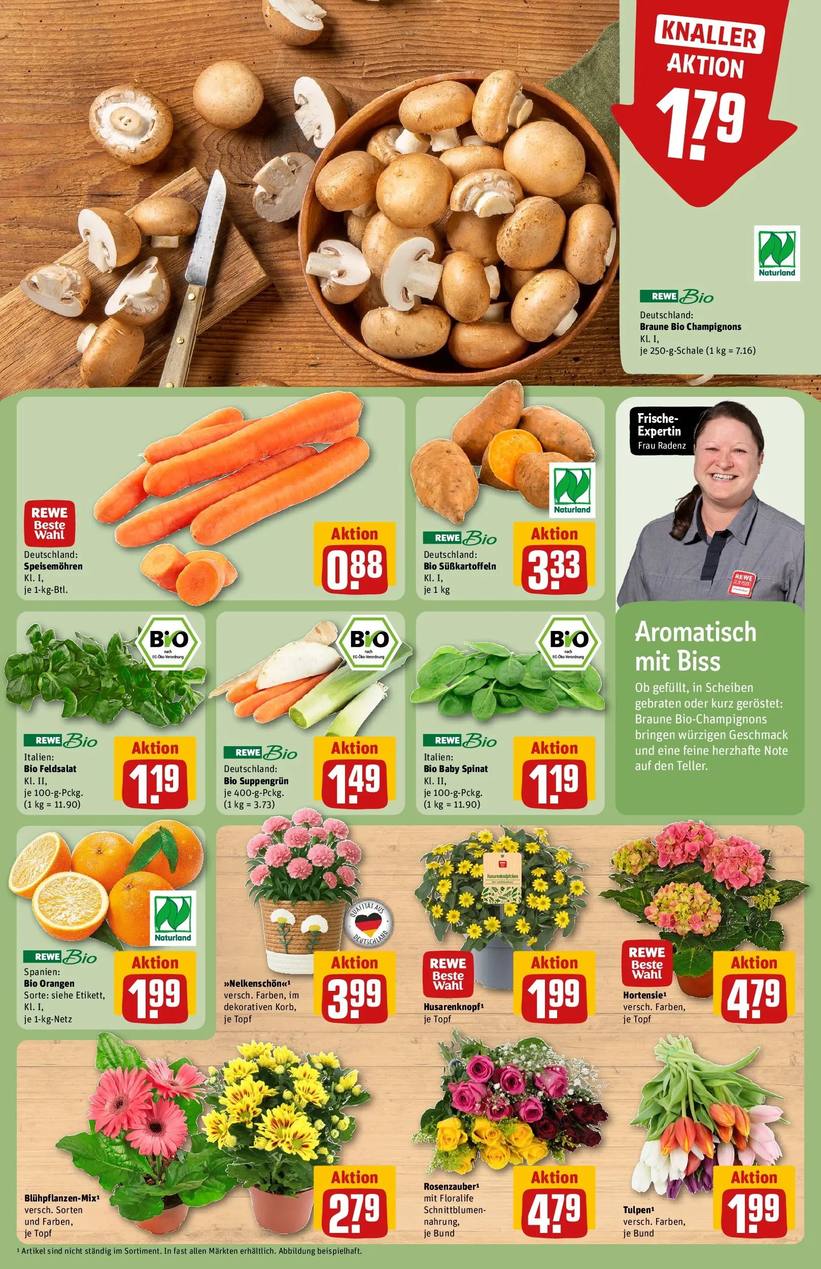 REWE Prospekt ab 05.04.2026 zum Blättern » Angebote | Seite: 7 | Produkte: Orangen, Champignons