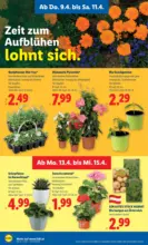 Lidl Lidl - ab 09.04.2026