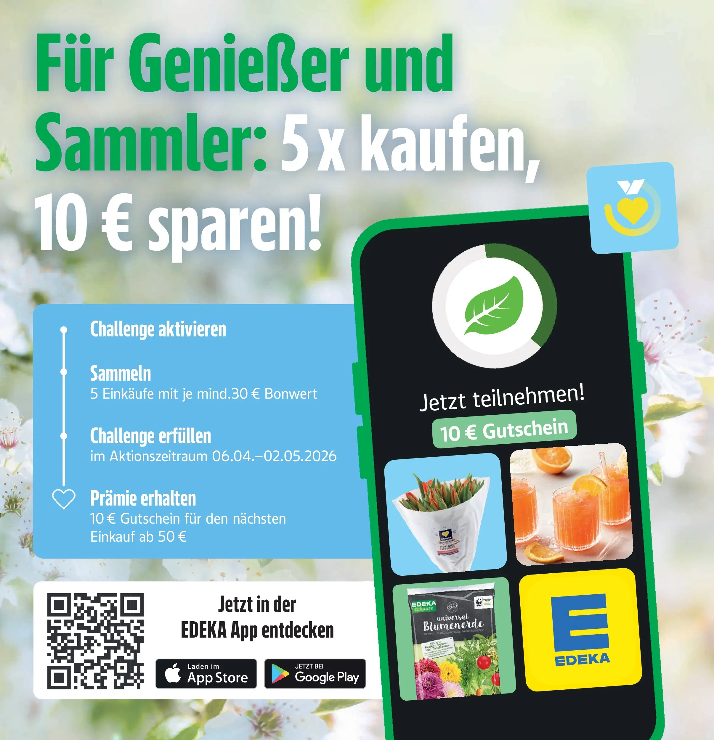 Marktkauf Prospekt Böblingen	 (ab 05.04.2026) » Angebote online | Seite: 40 | Produkte: Blumenerde