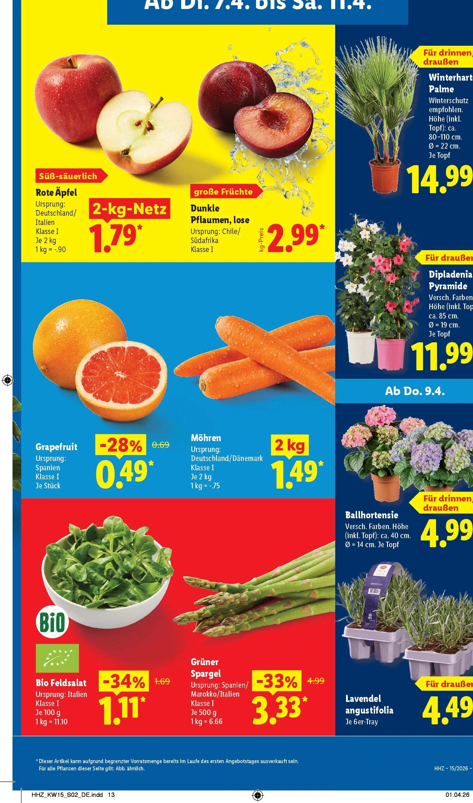 Lidl Prospekt Senftenberg (ab 05.04.2026) zum Blättern » Angebote | Seite: 5 | Produkte: Äpfel, Spargel, Mohren, Grapefruit