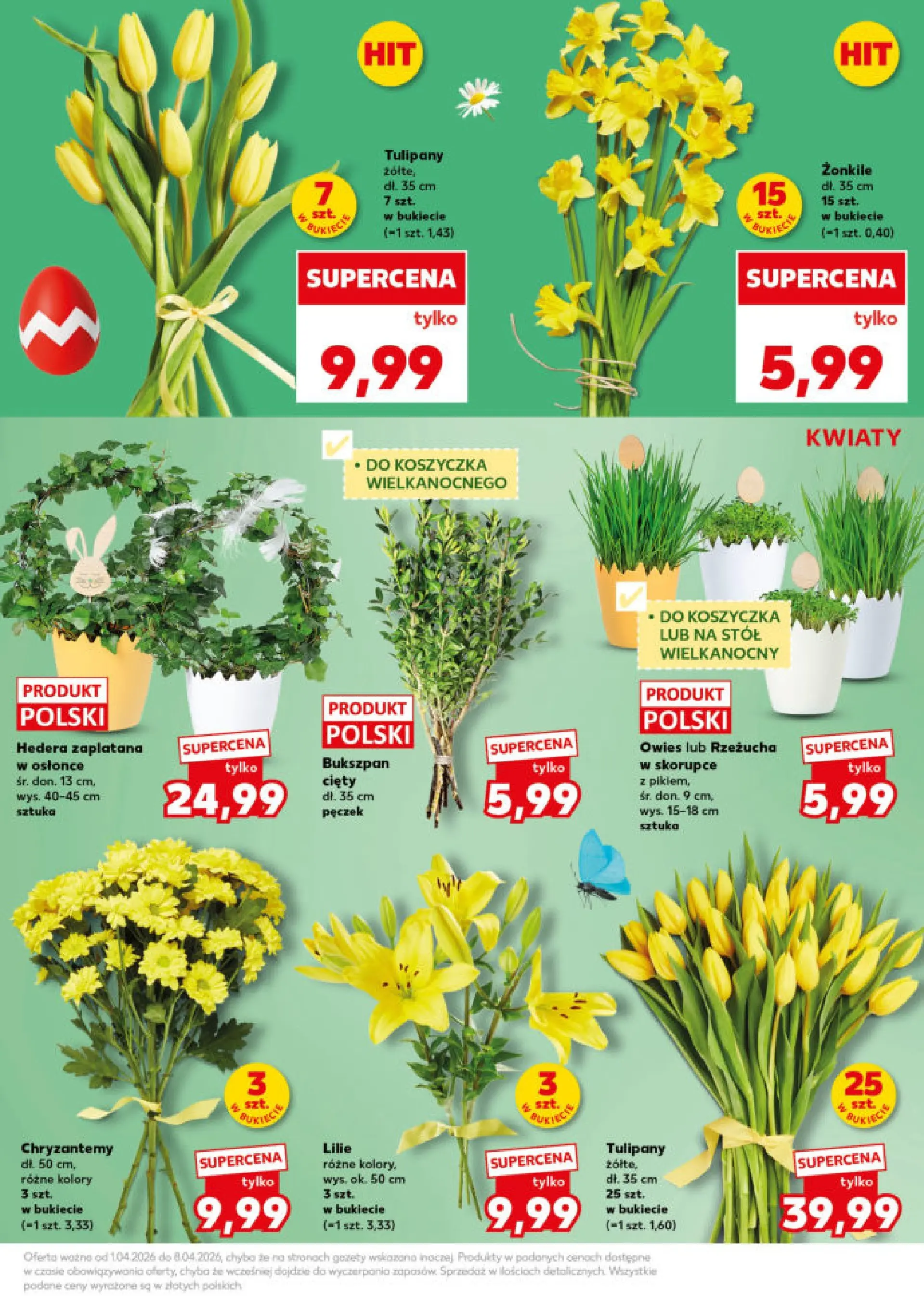 Kaufland - Kaufland Mocny Start ważne do 8.04 od 06.04.2026 - od jutra PDF | Strona: 15 | Produkty: Rzeżucha, Chryzantemy, Stół, Tulipany