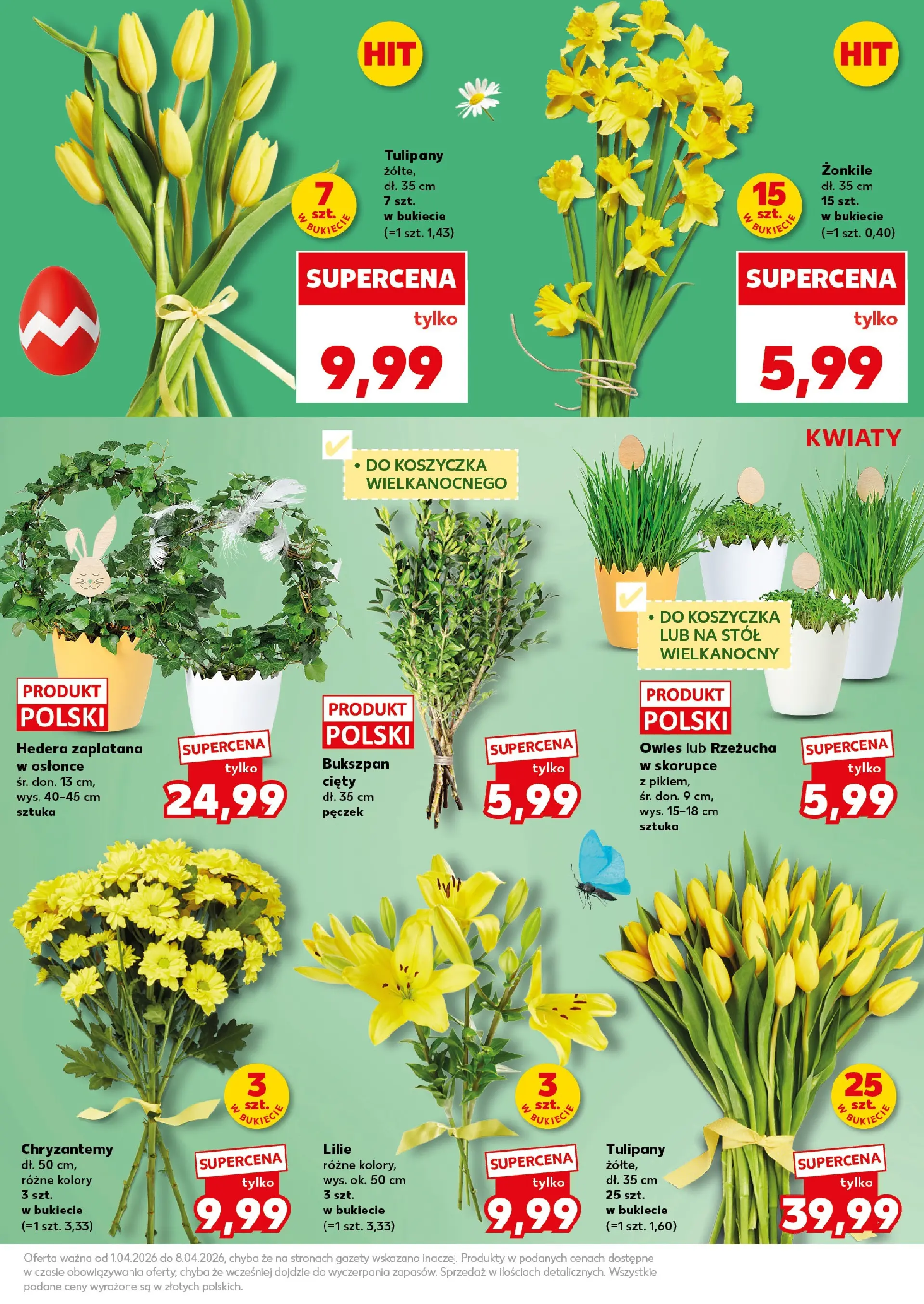 Kaufland - Kaufland Super Piątek i Sobota ważne do 4.04 od 02.04.2026 - od jutra PDF | Strona: 13 | Produkty: Rzeżucha, Stół, Tulipany, Kwiaty