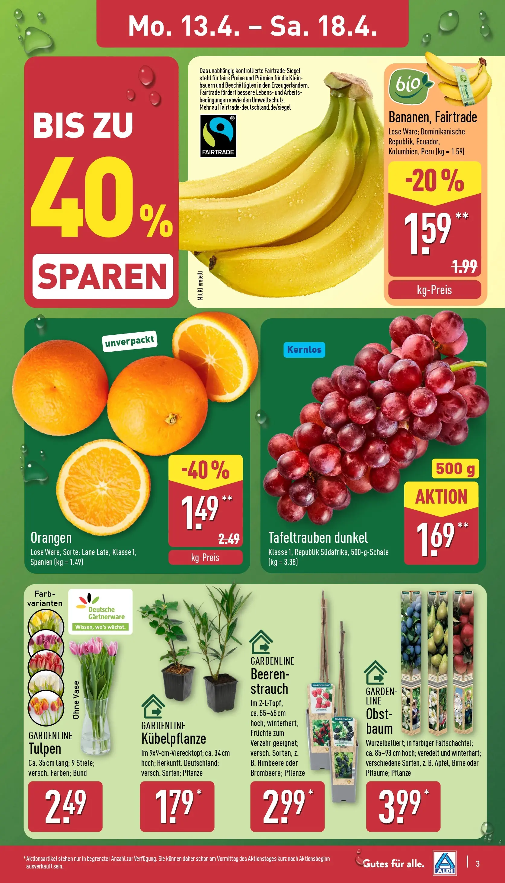 Aldi - ALDI Nord: Wochenangebote (ab 12.04.2026) » Angebote Online | Seite: 7 | Produkte: Vase, Orangen, Obst, Birne