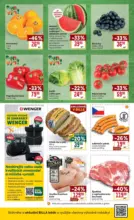 Billa Mal&yacute; let&aacute;k