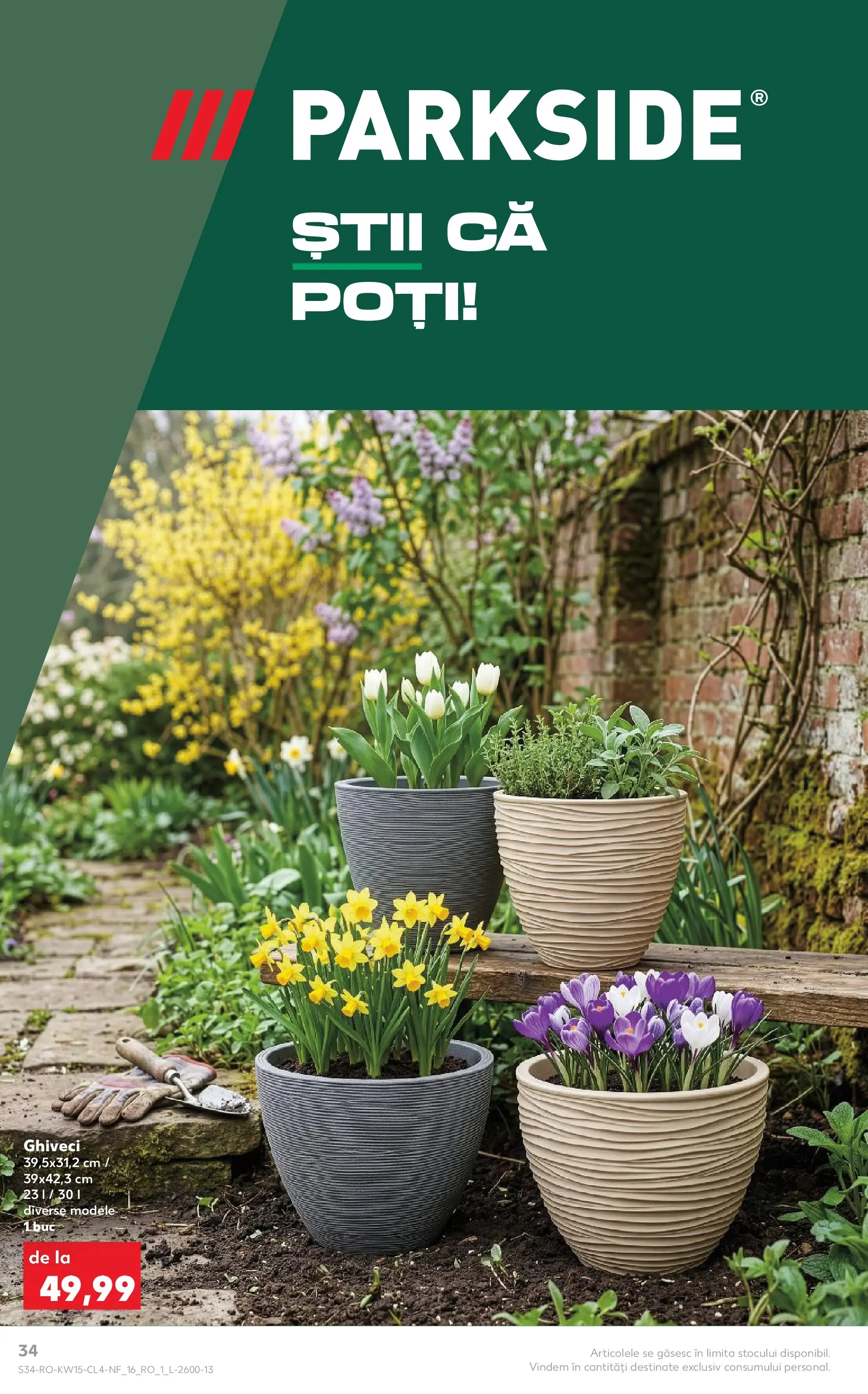 Kaufland Domnesti 07.04.2026 - Revista si Oferta | Pagină: 34 | Produse: Ghiveci