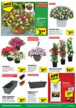 hagebau Angebote vom 11.04. - 18.04.2026