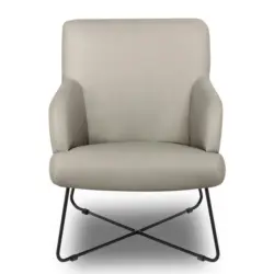 Sessel in Lederlook Grau