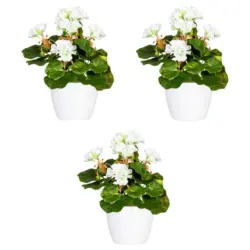 Kunstpflanze Geranie 24 cm