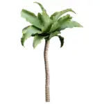 XXXLutz Lauterach - Ihr M&ouml;belhaus bei Bregenz Kunstpflanze Agave 63 cm