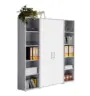 Aktenschrank Office Edition Sw Set 3 hoch Grau/Wei&szlig;