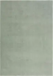 Fellteppich Loft Gr&uuml;n ca. 140x200cm