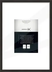 Bilderrahmen Aluminium ca. 42/59,4cm