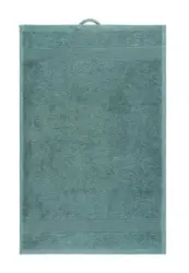 G&auml;stehandtuch Silke Mintgr&uuml;n ca. 30x50cm 2er Set