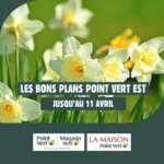 Magasin Vert Les bons plans - au 11.04.2026