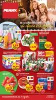 Catalog PENNY p&acirc;nă &icirc;n data de 14.04.2026