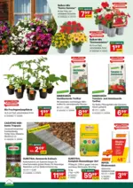 Lagerhaus Wochen Angebote - bis 12.04.2026